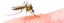 UBD - Mosquitoes Tile