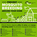 Mosquitoes around your home Mosquitoes around your home