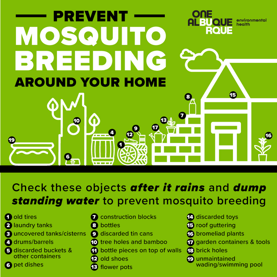 Mosquitoes around your home