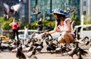 Feeding Pigeons Feeding Pigeons