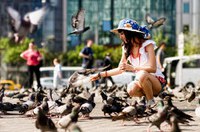 Feeding Pigeons