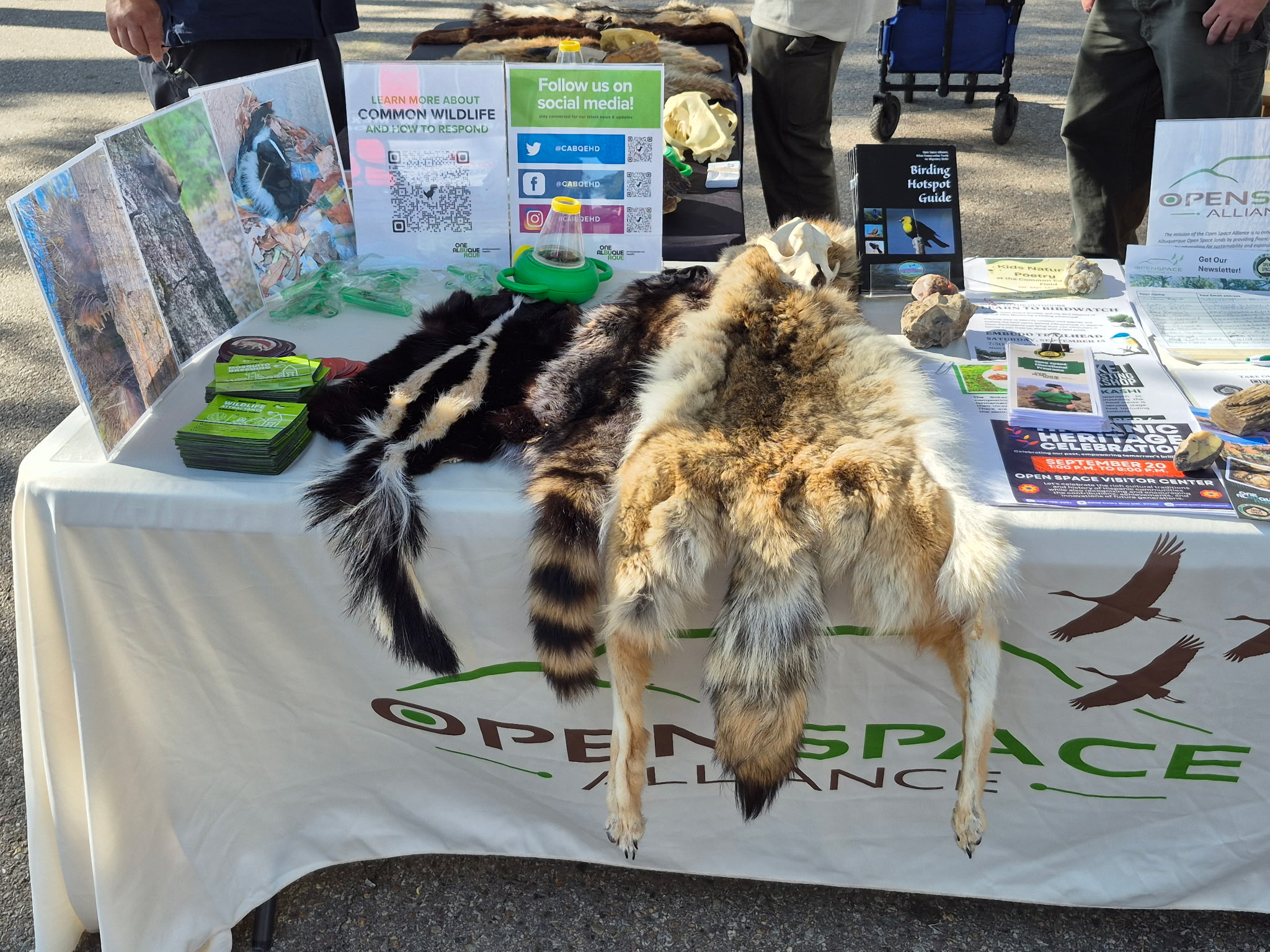 Urban Biology Outreach Table Setup