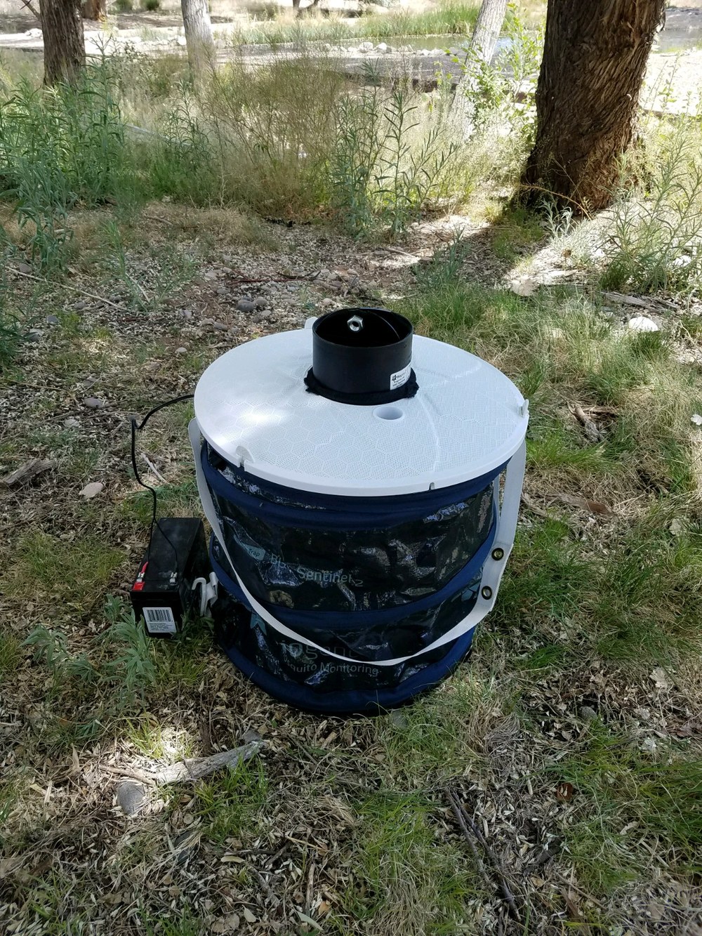 Sentinel1 Mosquito trap