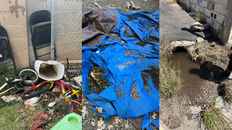 Standing Water Sources - Mosquitoes - Urban Biology Division - 2025