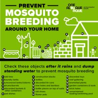 Protect Yourself From Mosquitoes After Historic Rainfall
