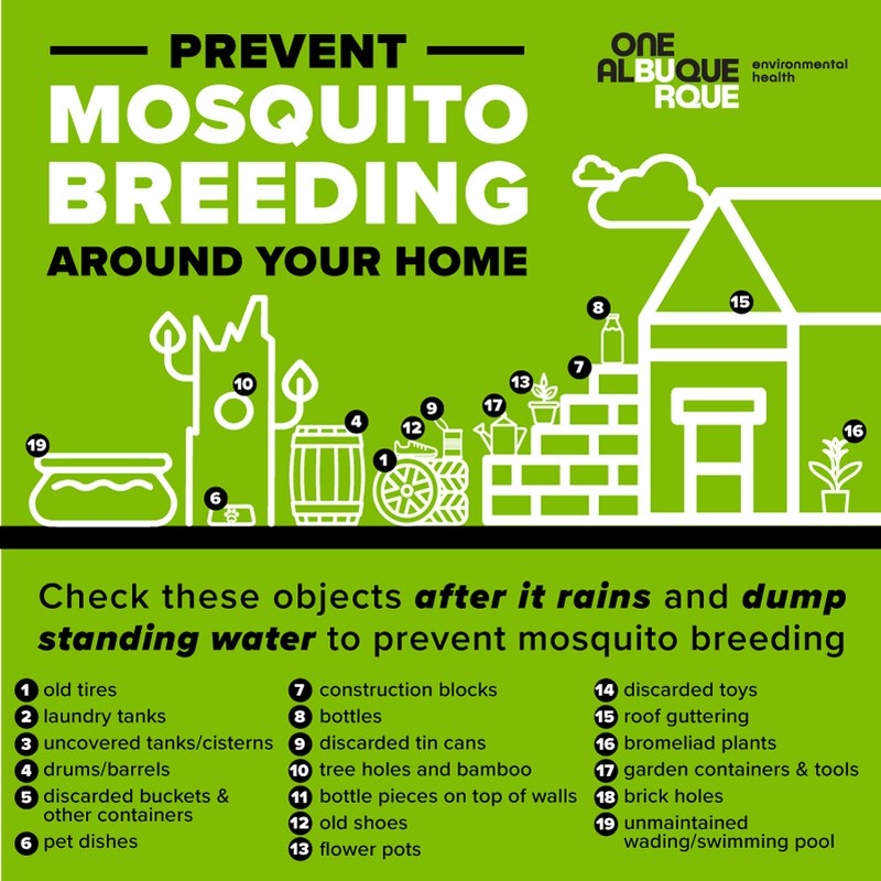 Protect Yourself From Mosquitoes After Historic Rainfall Protect Yourself From Mosquitoes After Historic Rainfall