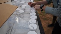 Three Neighborhoods to Receive New Mosquito Spray