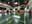 TBCC Gymnasium