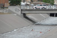 Arroyo Rescue