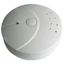 carbon monoxide detector