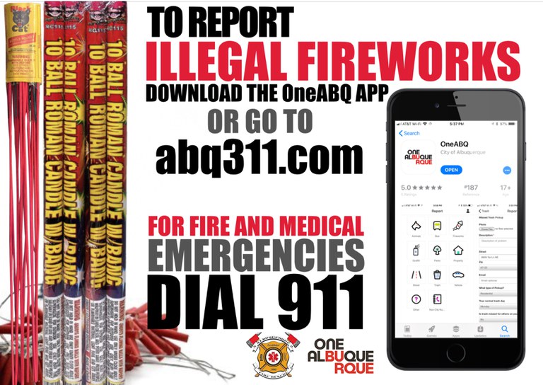 FIrework Reporting 2019 Flier