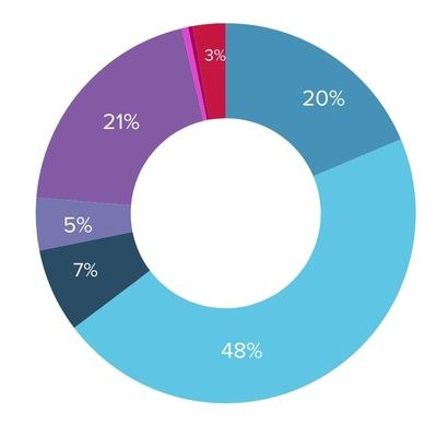 A donut shaped chart showing city funding on homelessness initatives