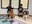 Gateway Center Hosts Free Pet Care Event for Residents and Their Animals
