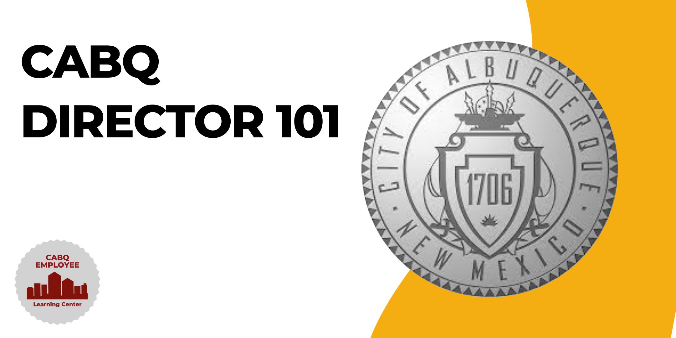 Director 101 Banner Image