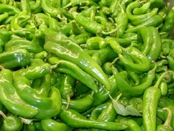 New Mexico's finest, green chile peppers are a favorite of harvest season.