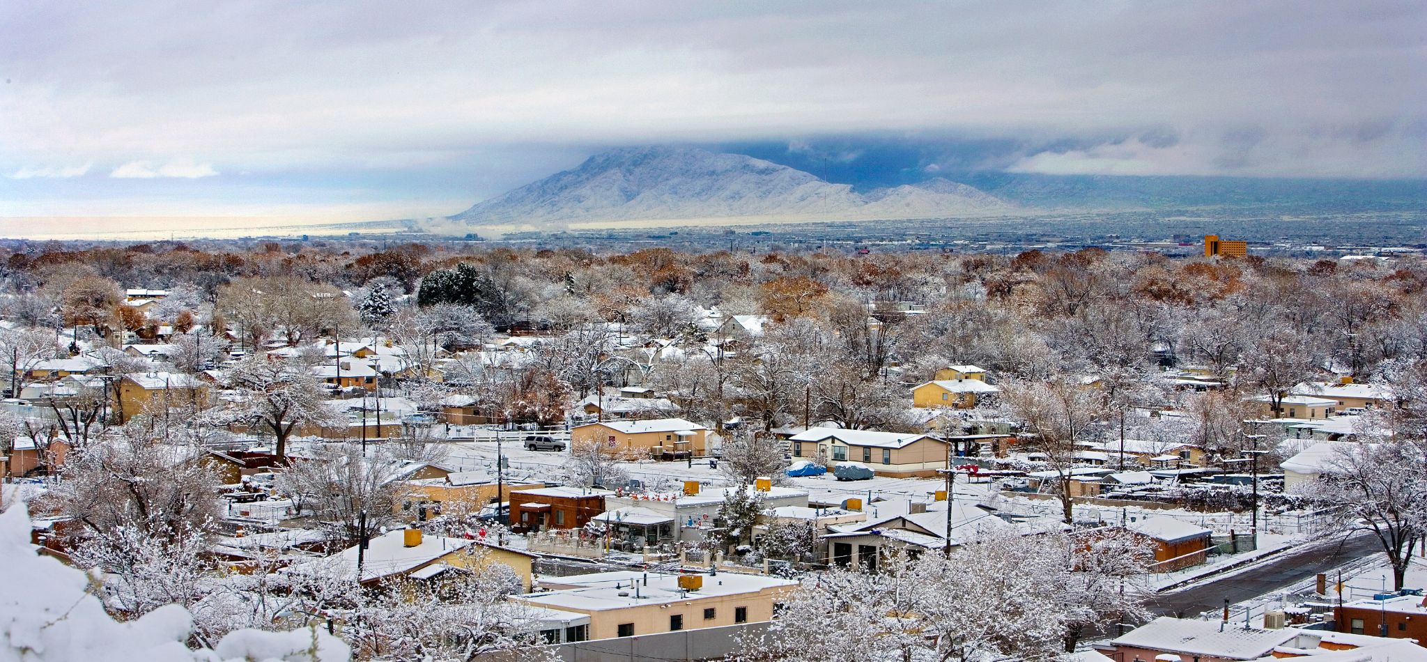 Snow covered houses and trees with the Sandia Mountains in the background.