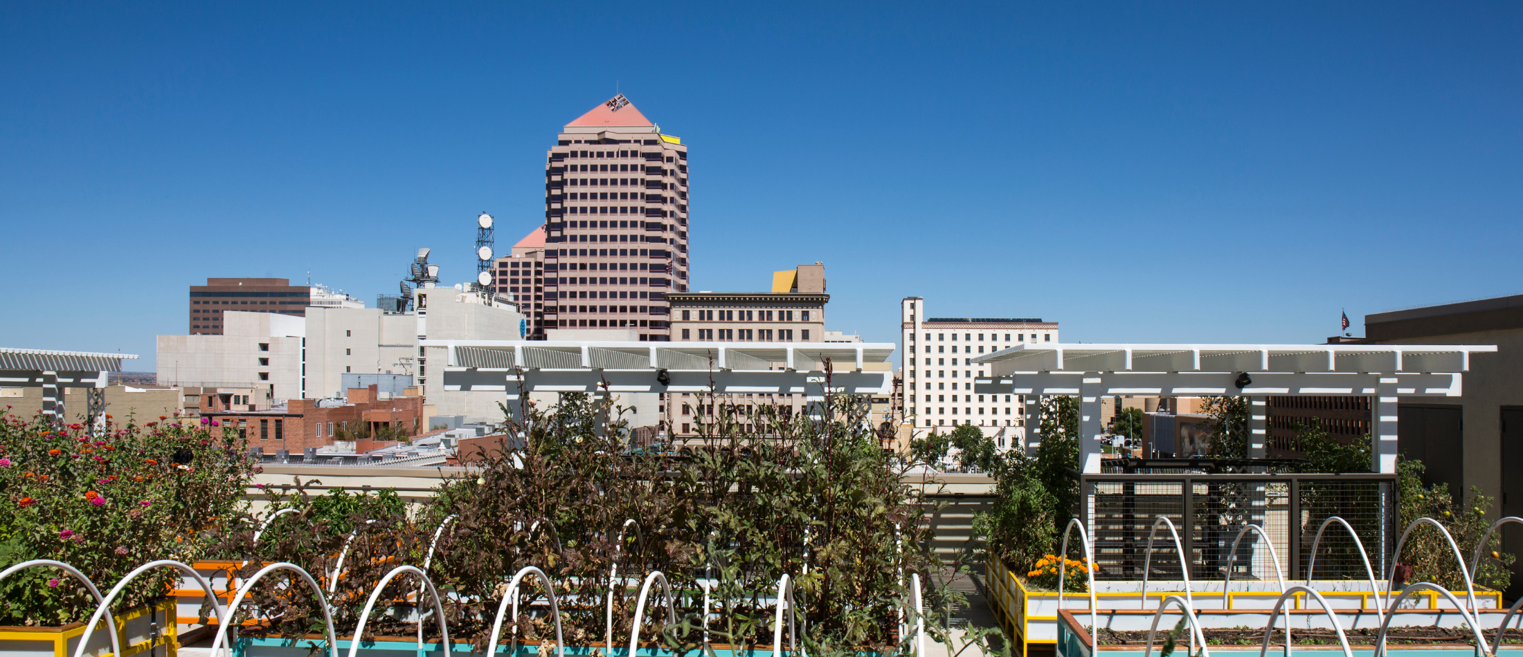 A rooftop garden with the Downtown Albuquerque skyline in the background.