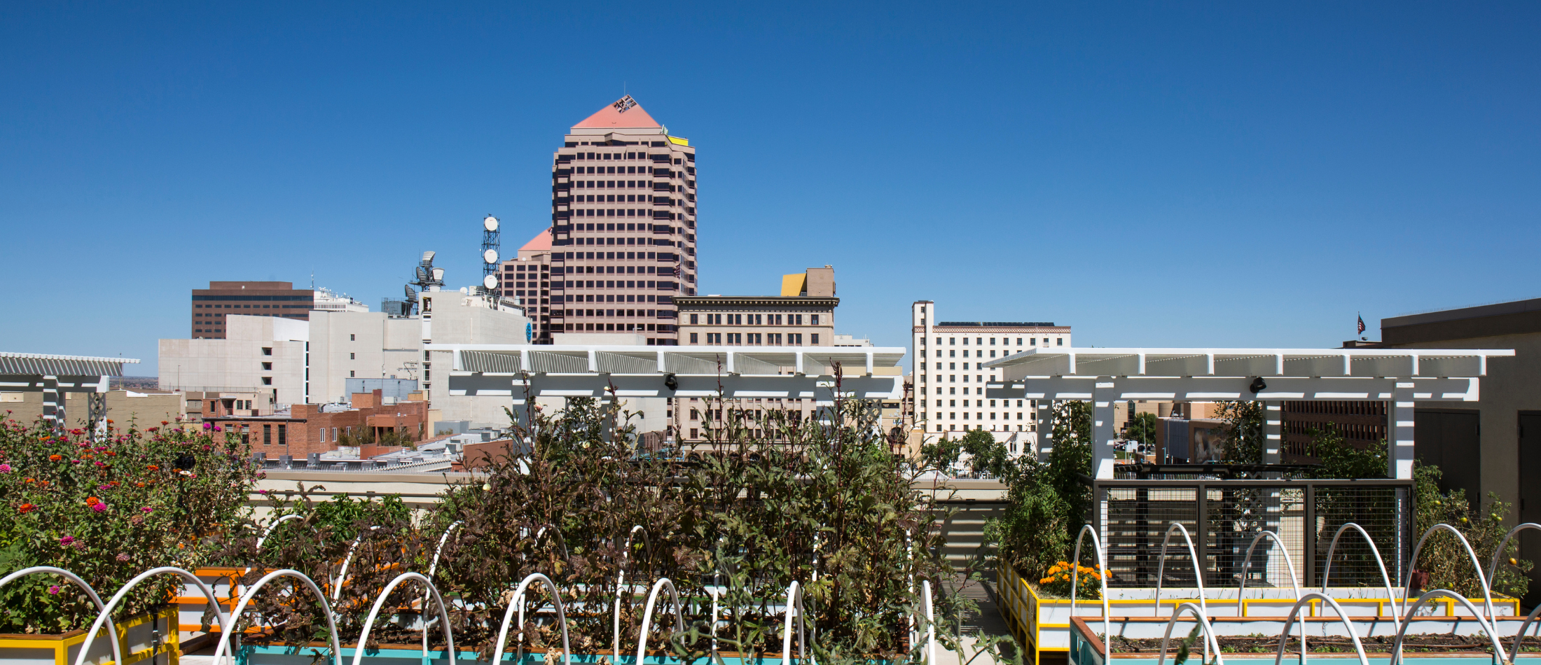 Downtown Rooftop Garden — City of Albuquerque