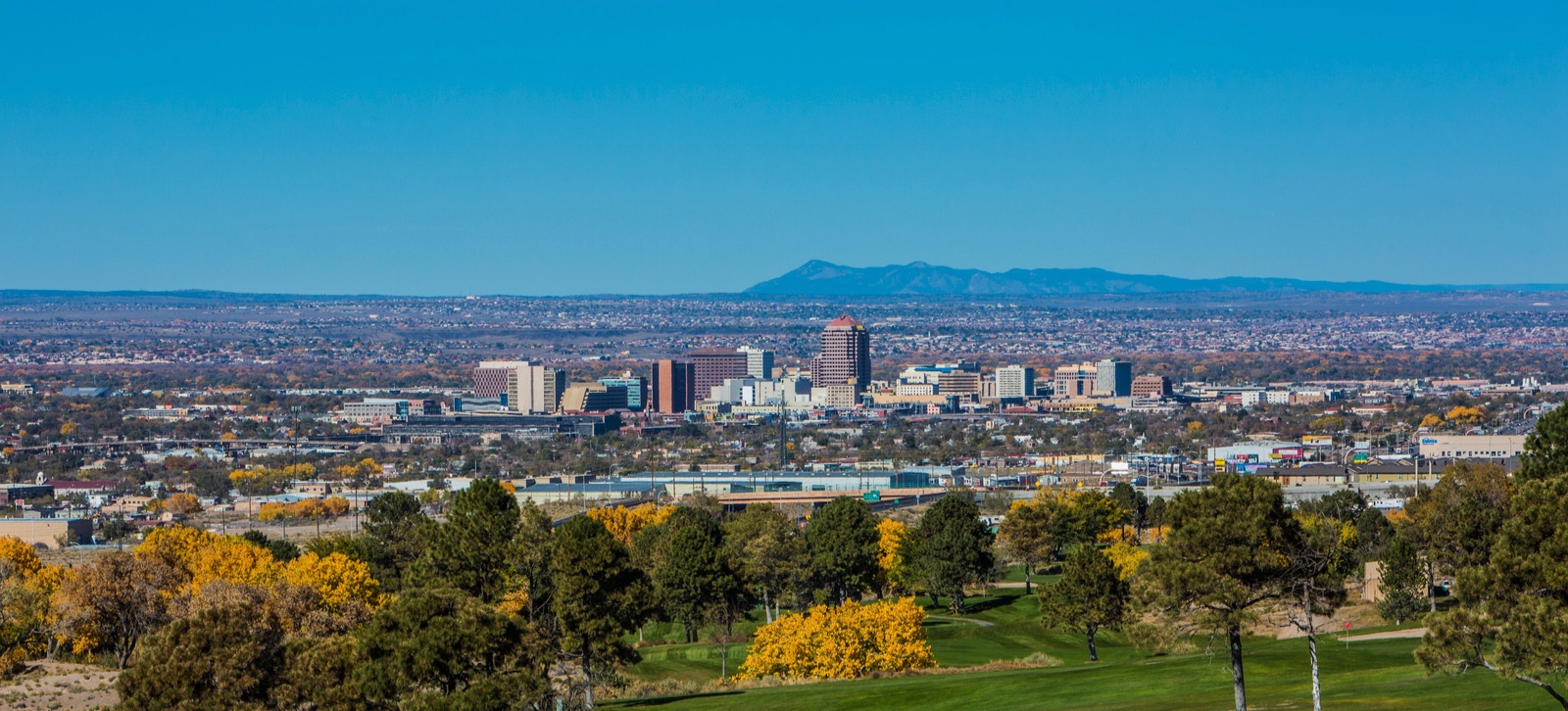 The City of Albuquerque seen from a grass field with trees changing color for the fall.