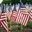 May 26, 2021 Community Hall Newsletter