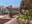 Civic Plaza Plants