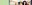 APINH Banner Image