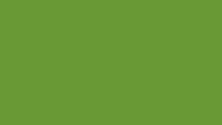 A solid green colored rectangle.
