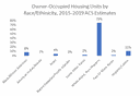 Owner-Occupied Housing Units by Race & Ethnicity.png