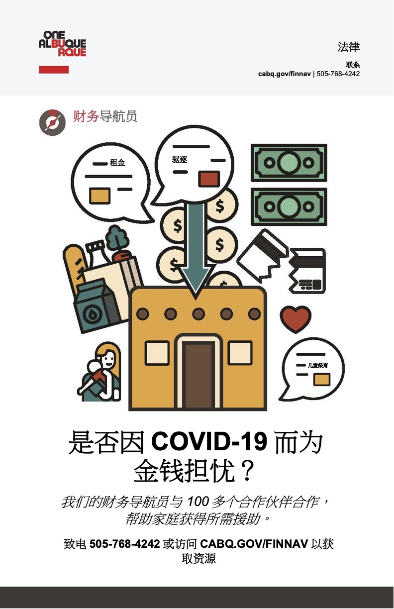 New Financial Navigators Poster - Mandarin