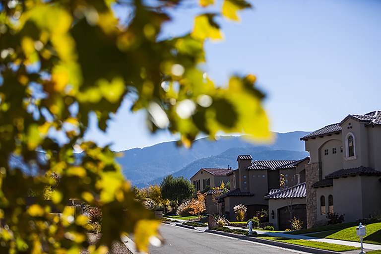 Albuquerque Neighborhood with Flowers