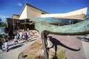 History Museum with Dinosaur