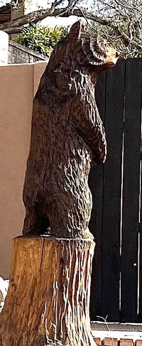 Altura Park Bear artwork carving in wood.