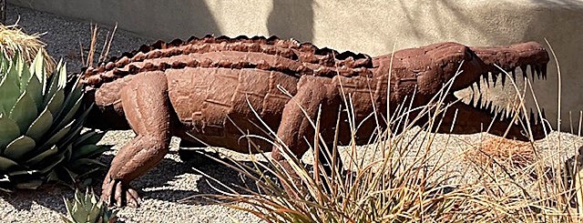 Altura Park Gator