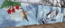 Alvarado Gardens Humming Bird