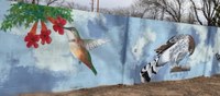 Alvarado Gardens Humming Bird wall mural painting.