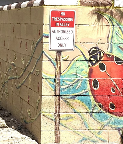 Alvarado Park Lady Bug