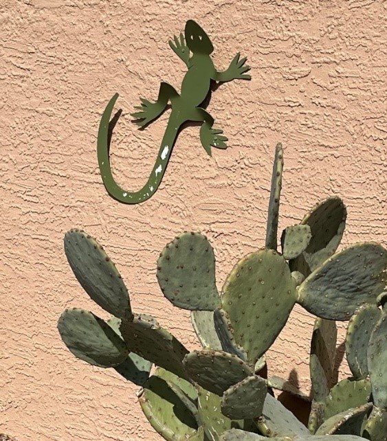 Petroglyph Estates Lizard