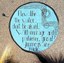 Inez Sidewalk Art
