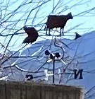 A metal compass sculpture with a cow design on the top.