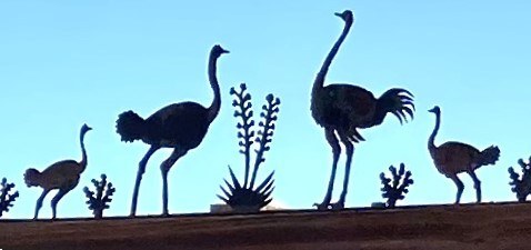 Mile High Ostrich
