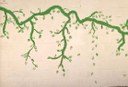 Mile High Vine