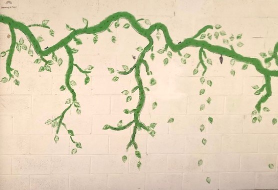 Mile High Vine