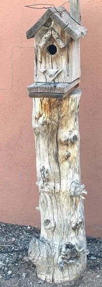 A wooden bird house placed at the top of a tree trunk.
