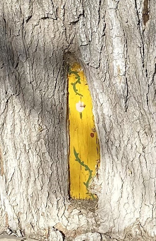 Nob Hill Tree Door