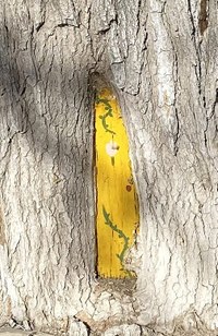 A small yellow fairy door painted into a notch on a tree.