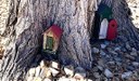 Nob Hill Tree House