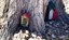 Nob Hill Tree House