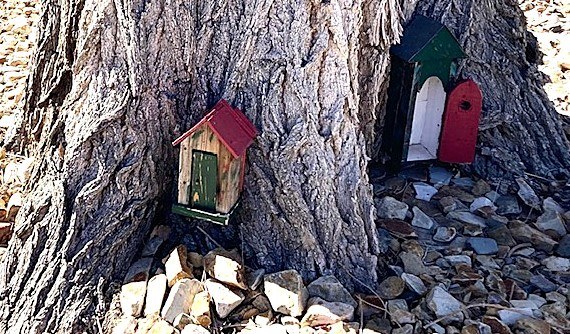 Nob Hill Tree House