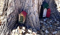 Small fairy doors installed into the base of a tree.