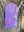 North Valley Purple